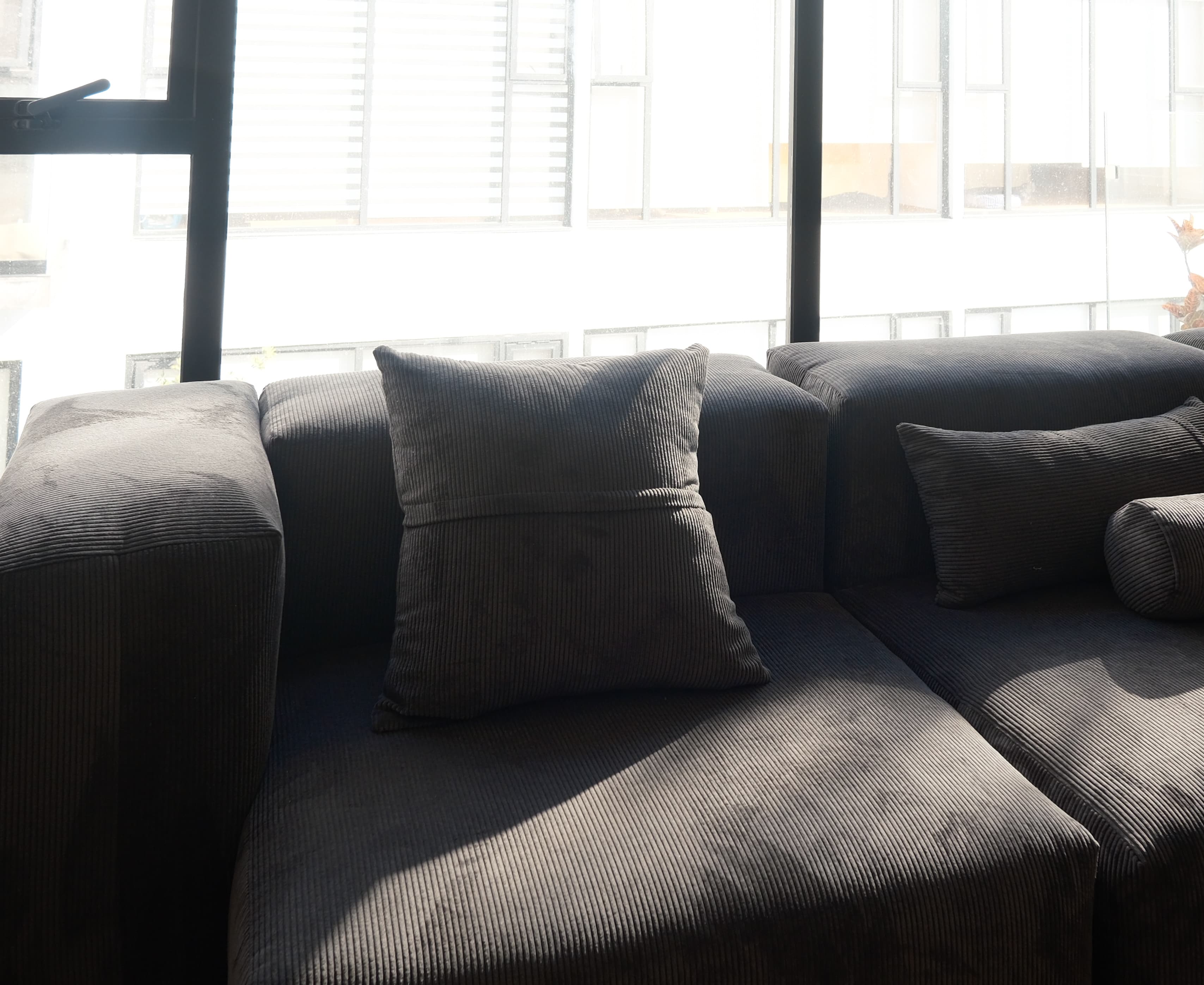 Sillón oscuro con luz natural